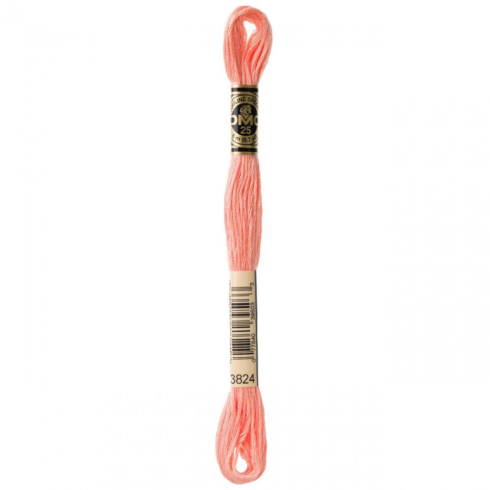 DMC Embroidery Floss, 6-Strand - Apricot Light #3824 – Honey Bee