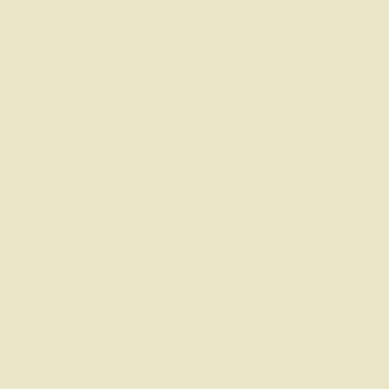 DMC Embroidery Floss, 6 - Strand - Off White 746 - Honey Bee Stamps