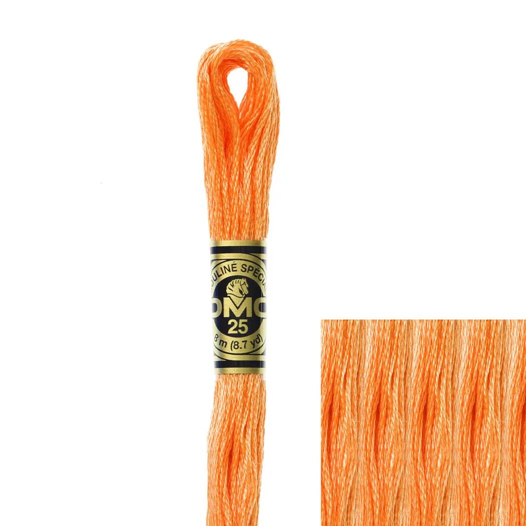 DMC Embroidery Floss, 6-Strand - Orange Spice Light #722 – Honey