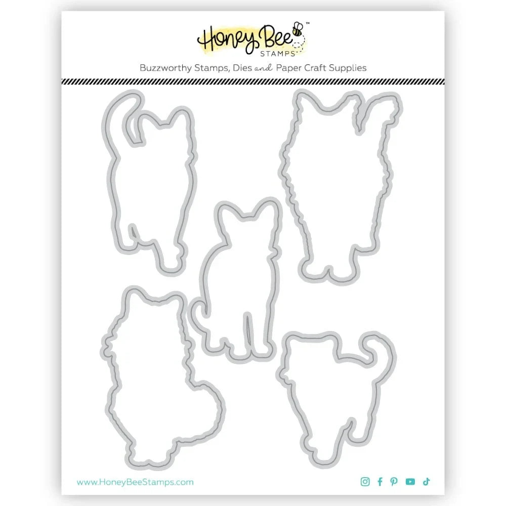 Paws & Purrs - Honey Cuts - Coordinating Dies - Honey Bee Stamps