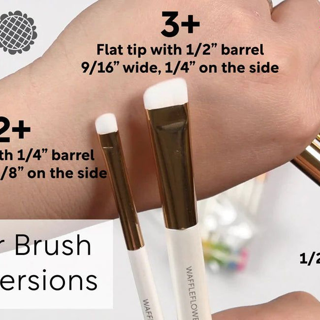 Shader Brushes 3+ - 1/2" Flat Tip / 5 Pk by Waffle Flower - Honey Bee Stamps