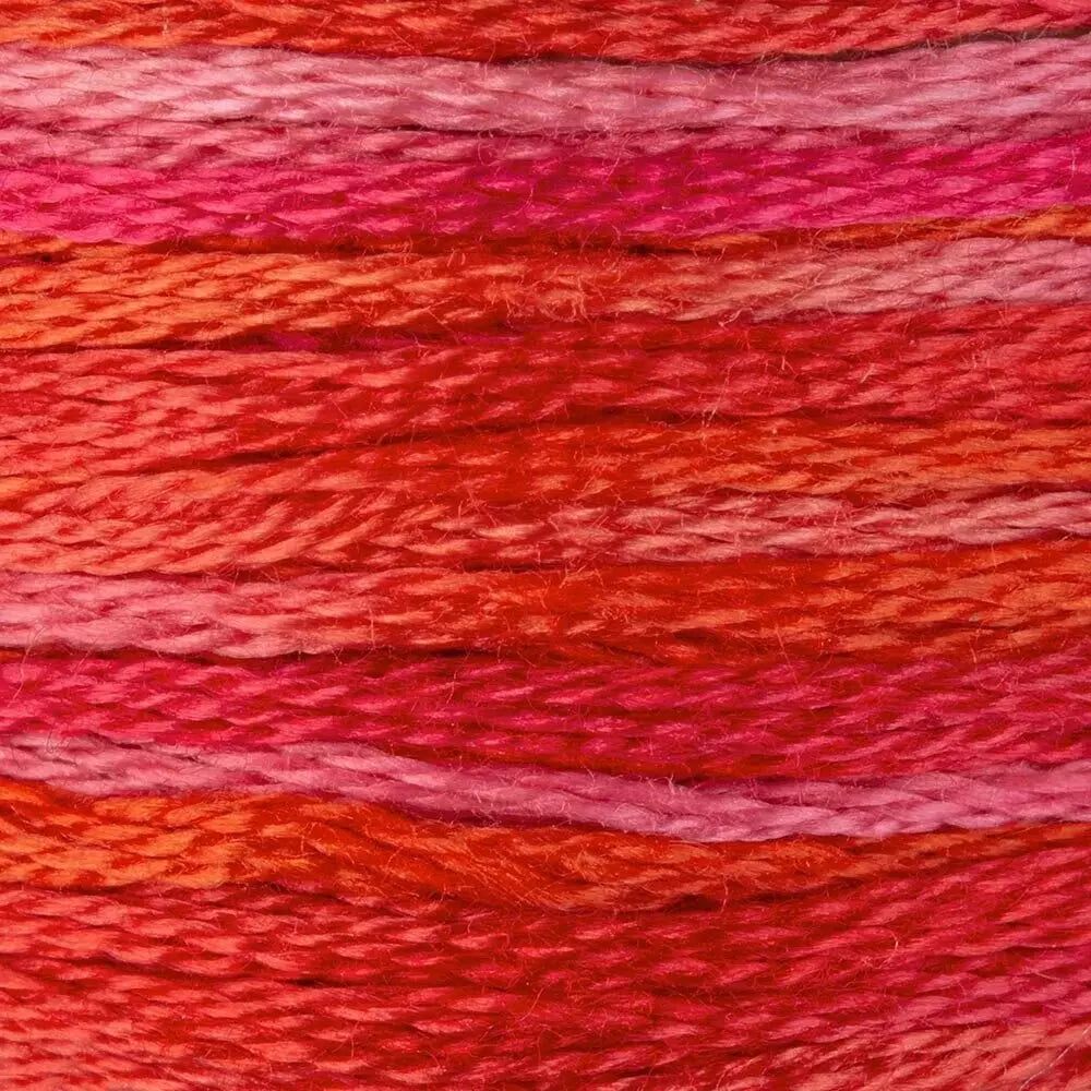 DMC Embroidery Floss, 6 - Strand Multi - Color Variations - Wild Fire - Honey Bee Stamps