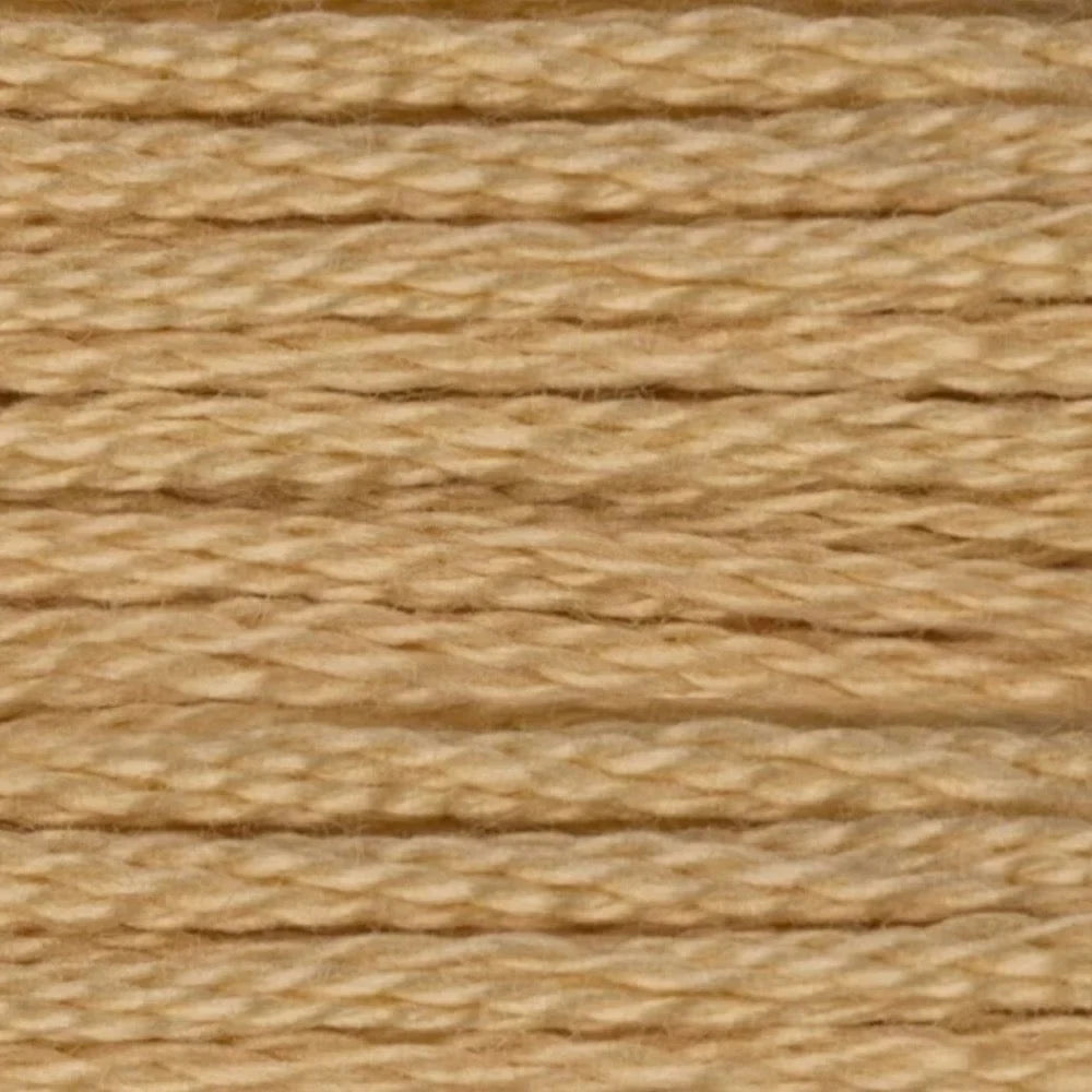 DMC Embroidery Floss, 6 - Strand - Tan Very Light 738 - Honey Bee Stamps