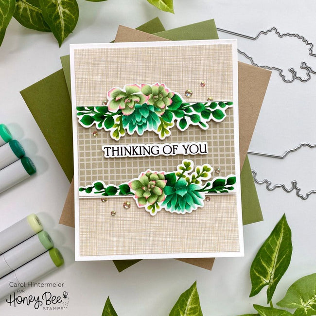 On The Line: Succulents - 5x6 Stamp Set - Retiring - Honey Bee Stamps
