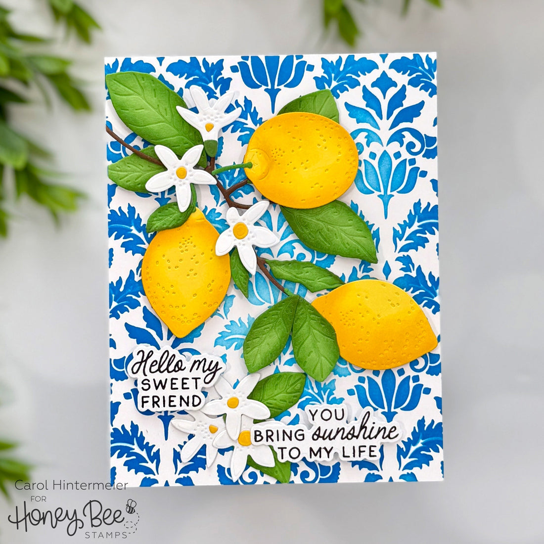 You Bring Sunshine To My Life - Honey Bee Stamps