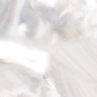 Shop By Finish: OPAL & PEARL - Honey Bee Stamps