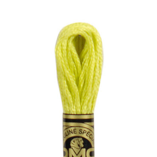 DMC Embroidery Floss, 6-Strand - Tender Green #12