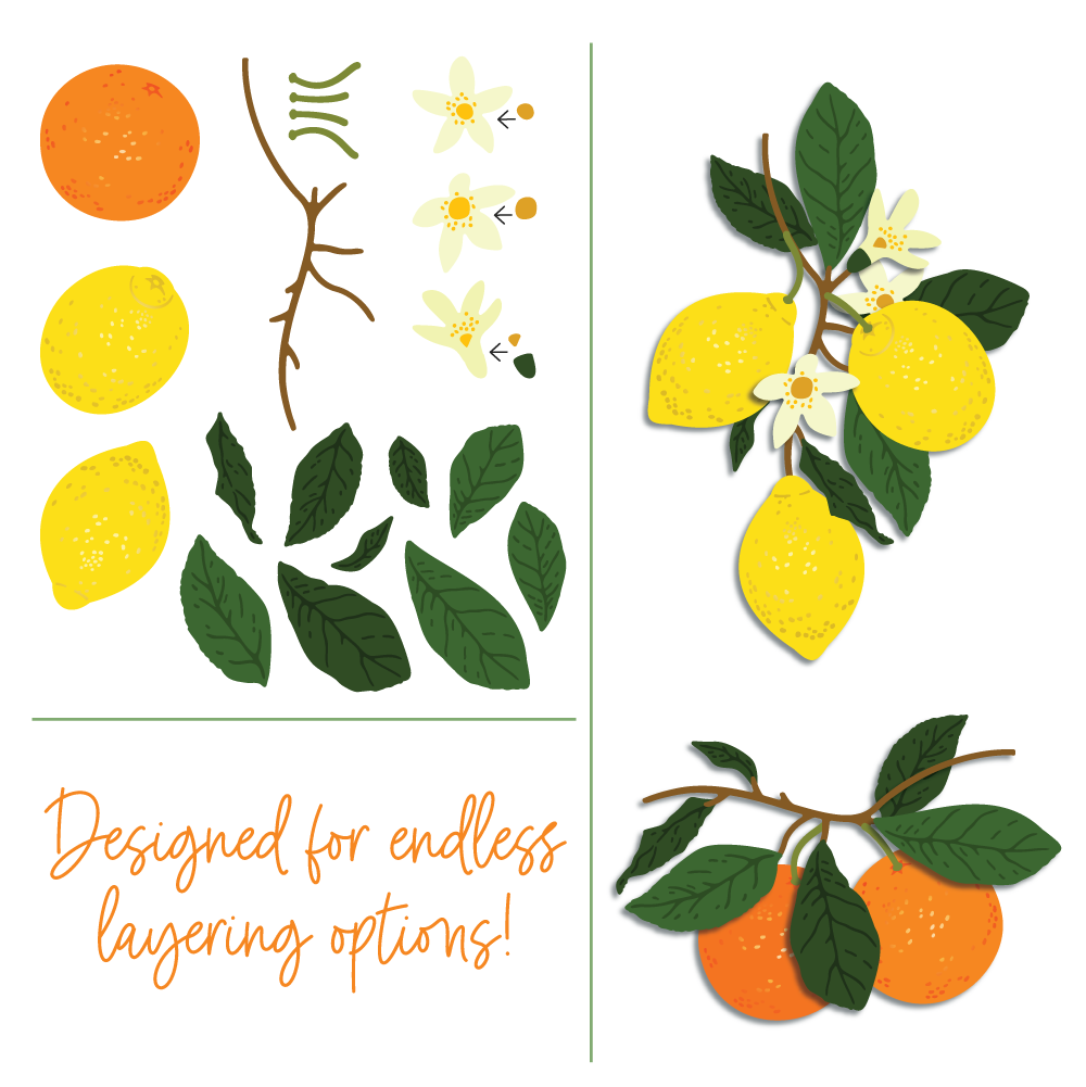 Lovely Layers: Citrus - Honey Cuts Stand-Alone Dies