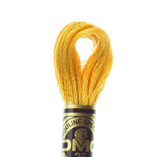 DMC Embroidery Floss, 6-Strand - Topaz Light #728