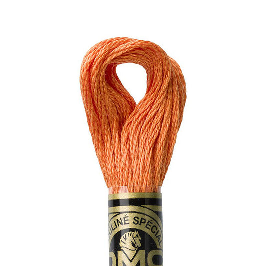 DMC Embroidery Floss, 6-Strand - Copper Light #922