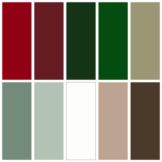 DMC Embroidery Thread Bundle - Merry Moments Collection