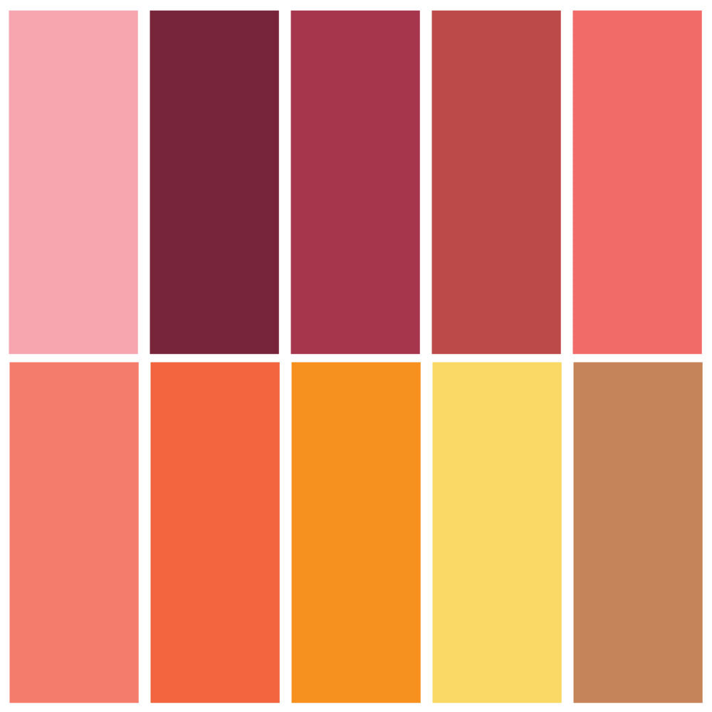 DMC Embroidery Thread Bundle - Warm Collection