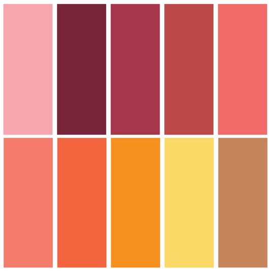 DMC Embroidery Thread Bundle - Warm Collection