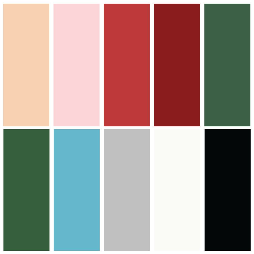 DMC Embroidery Thread Bundle - Holiday Collection