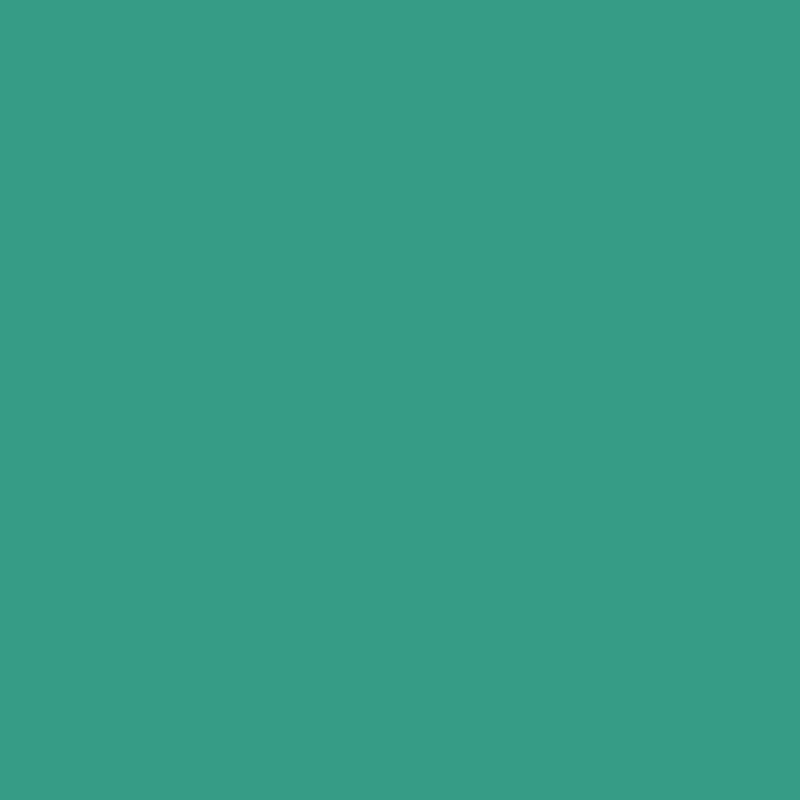 DMC Embroidery Floss, 6-Strand - Sea Green Dark #958