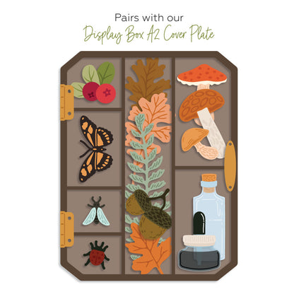 Display Box: Fall Add-On - Honey Cuts Stand-Alone Dies