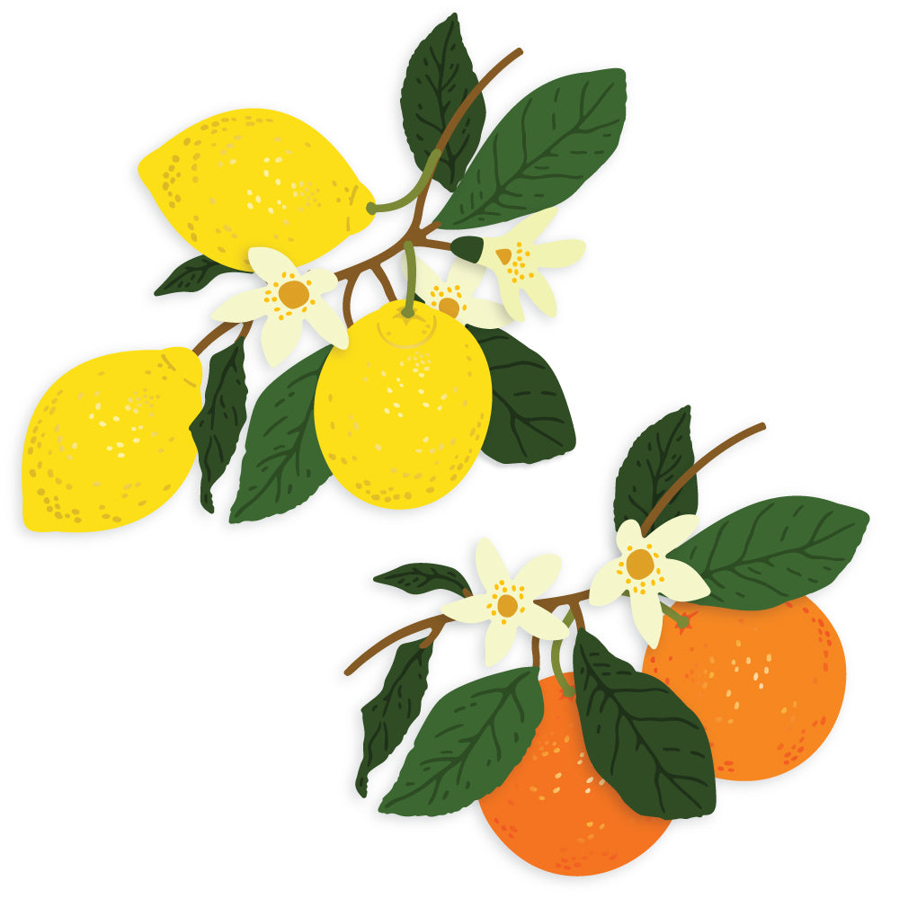 Lovely Layers: Citrus - Honey Cuts Stand-Alone Dies