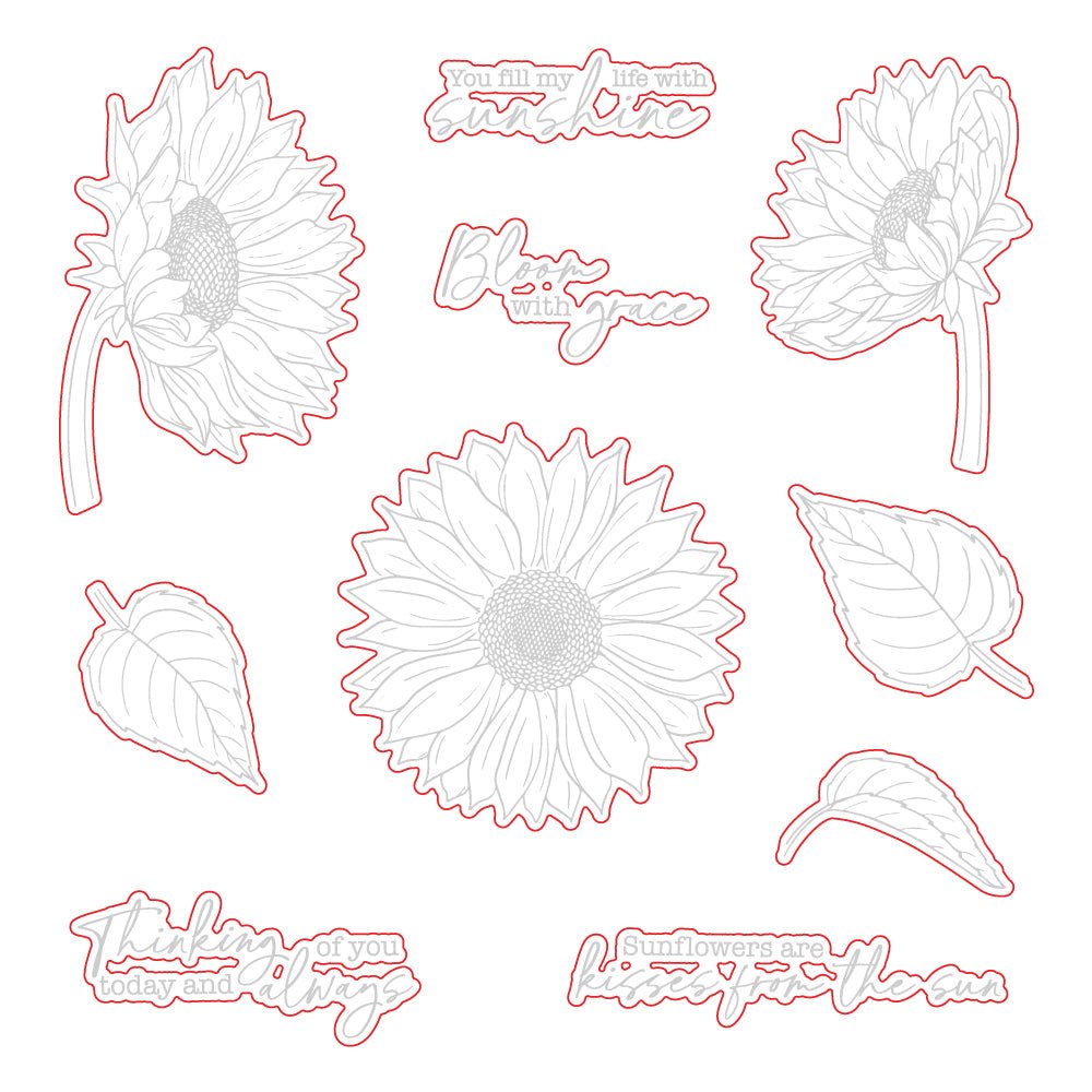 Bloom With Grace - Honey Cuts - Coordinating Dies - Honey Bee Stamps