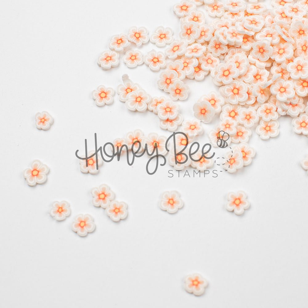 Dainty Daisies - Clay Flowers - Honey Bee Stamps