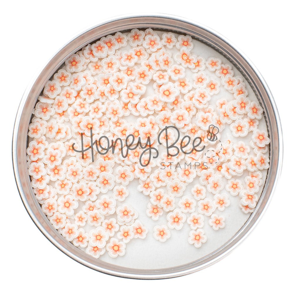 Dainty Daisies - Clay Flowers - Honey Bee Stamps