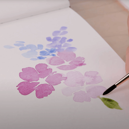 Daler - Rowney Aquafine Watercolor Half Pan Set - Shayda Campbell, Set of 24 - Honey Bee Stamps