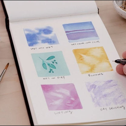 Daler - Rowney Aquafine Watercolor Half Pan Set - Shayda Campbell, Set of 24 - Honey Bee Stamps