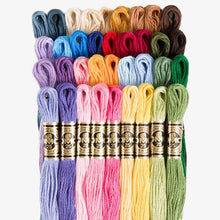 DMC Embroidery Floss 36/pkg - Popular Colors 8.7 yd - Honey Bee Stamps