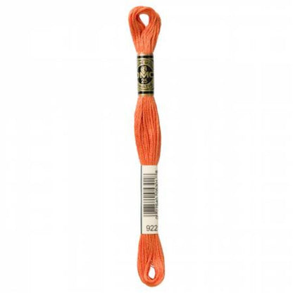 DMC Embroidery Floss, 6 - Strand - Copper Light 922 - Honey Bee Stamps