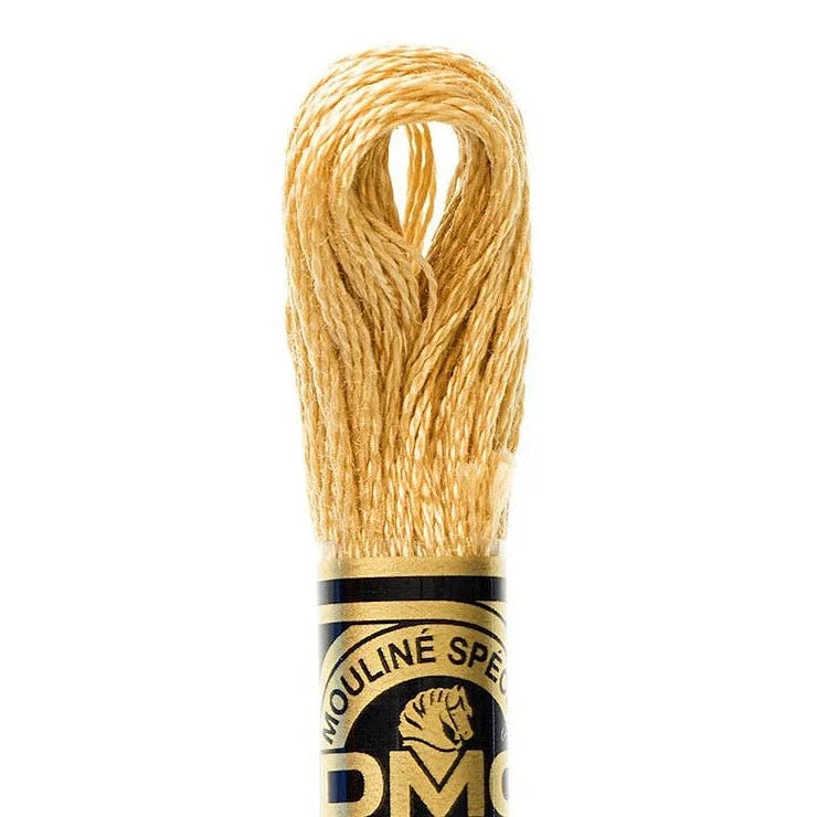 DMC Embroidery Floss, 6-Strand - Hazelnut Brown Light #422 – Honey Bee ...