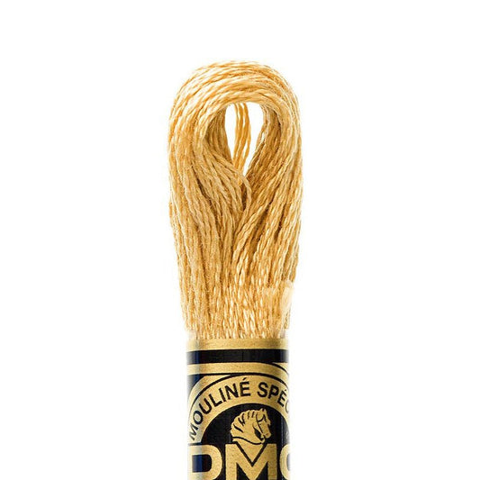 DMC Embroidery Floss, 6-Strand - Hazelnut Brown Light 422 - Honey Bee Stamps