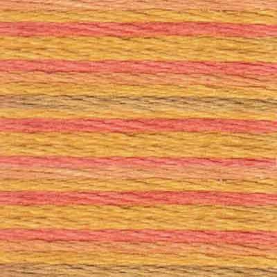 DMC Embroidery Floss, 6 - Strand Multi - Color Variations - Desert Canyon - Honey Bee Stamps