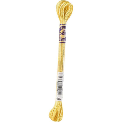 DMC Embroidery Floss, 6 - Strand Multi - Color Variations - Wheat Field - Honey Bee Stamps