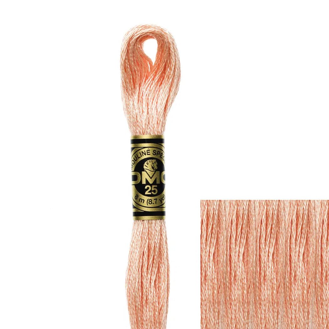 DMC Embroidery Floss, 6 - Strand - Peach Light 754 - Honey Bee Stamps