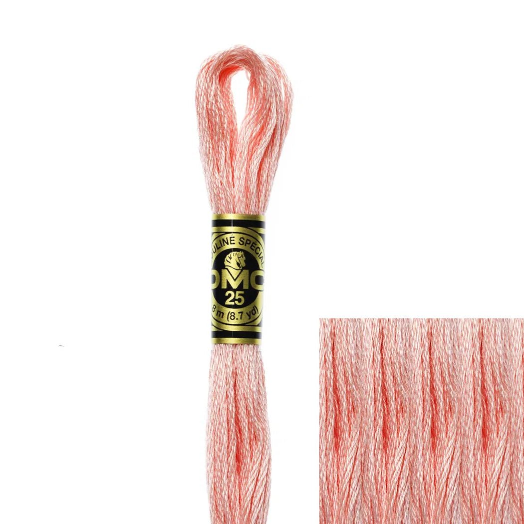DMC Embroidery Floss, 6 - Strand - Salmon Light 761 - Honey Bee Stamps