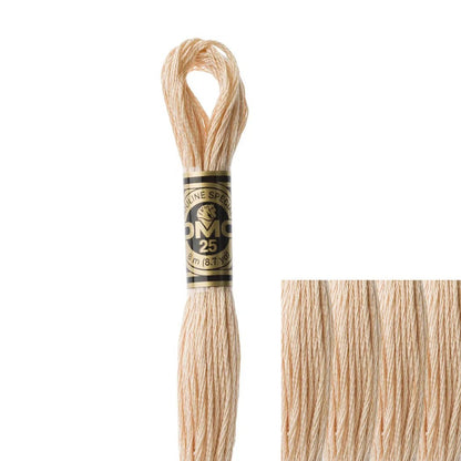 DMC Embroidery Floss, 6 - Strand - Tawny 945 - Honey Bee Stamps