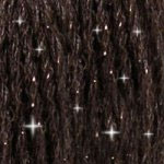 DMC 6-Strand Etoile Embroidery Floss 8.7yd - Black Brown