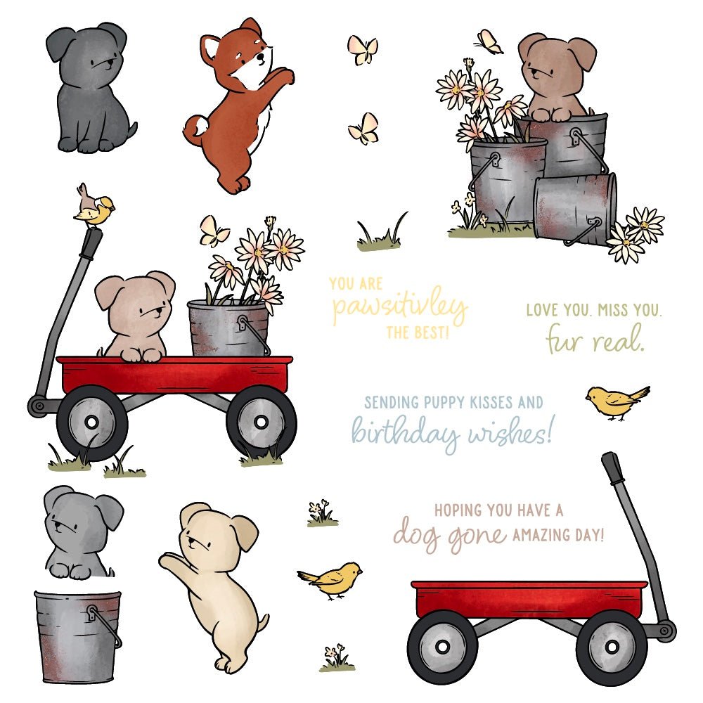 Dog Gone Amazing - 6x8 Photopolymer Stamp Set - Honey Bee Stamps