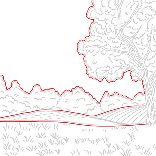 Farmhouse Fields Scene Builder Cover Plate - Honey Cuts - Coordinating Dies - Honey Bee Stamps