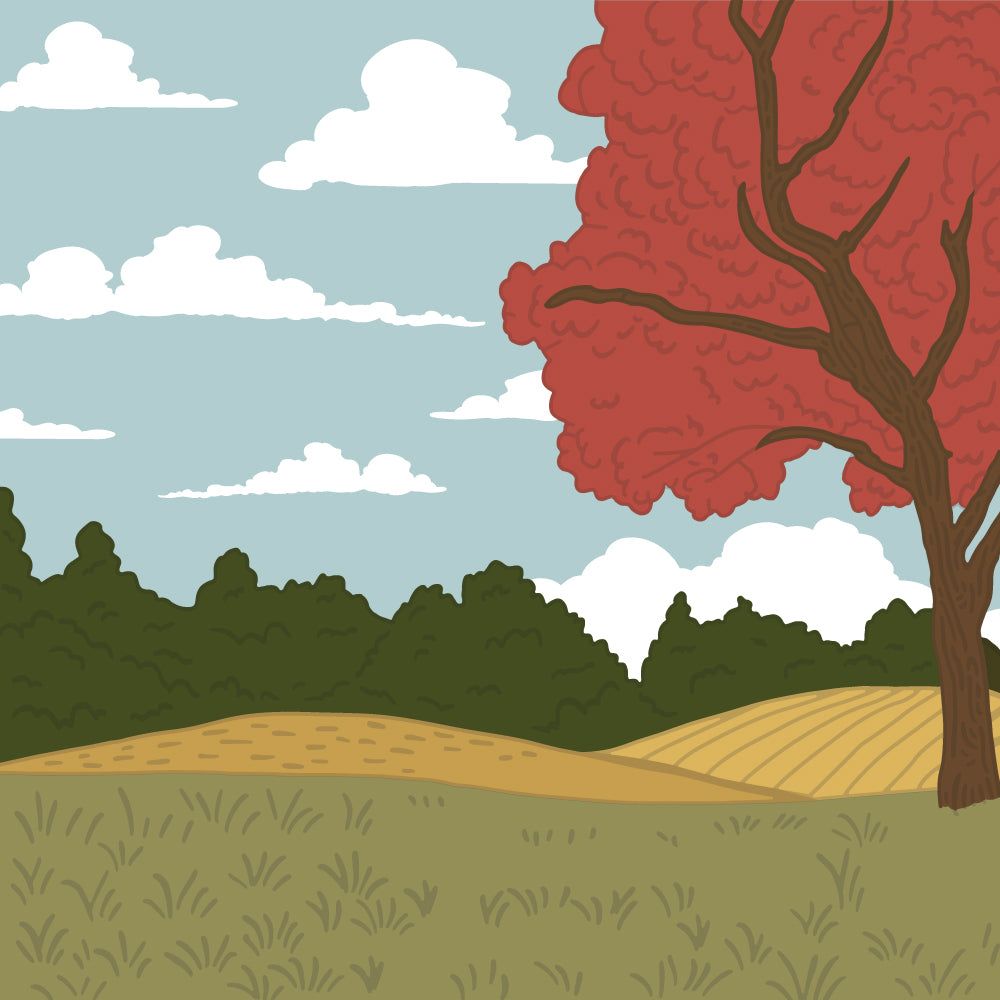 Farmhouse Fields - Set Of 6 - 6"x6" Layering Stencils - Honey Bee Stamps