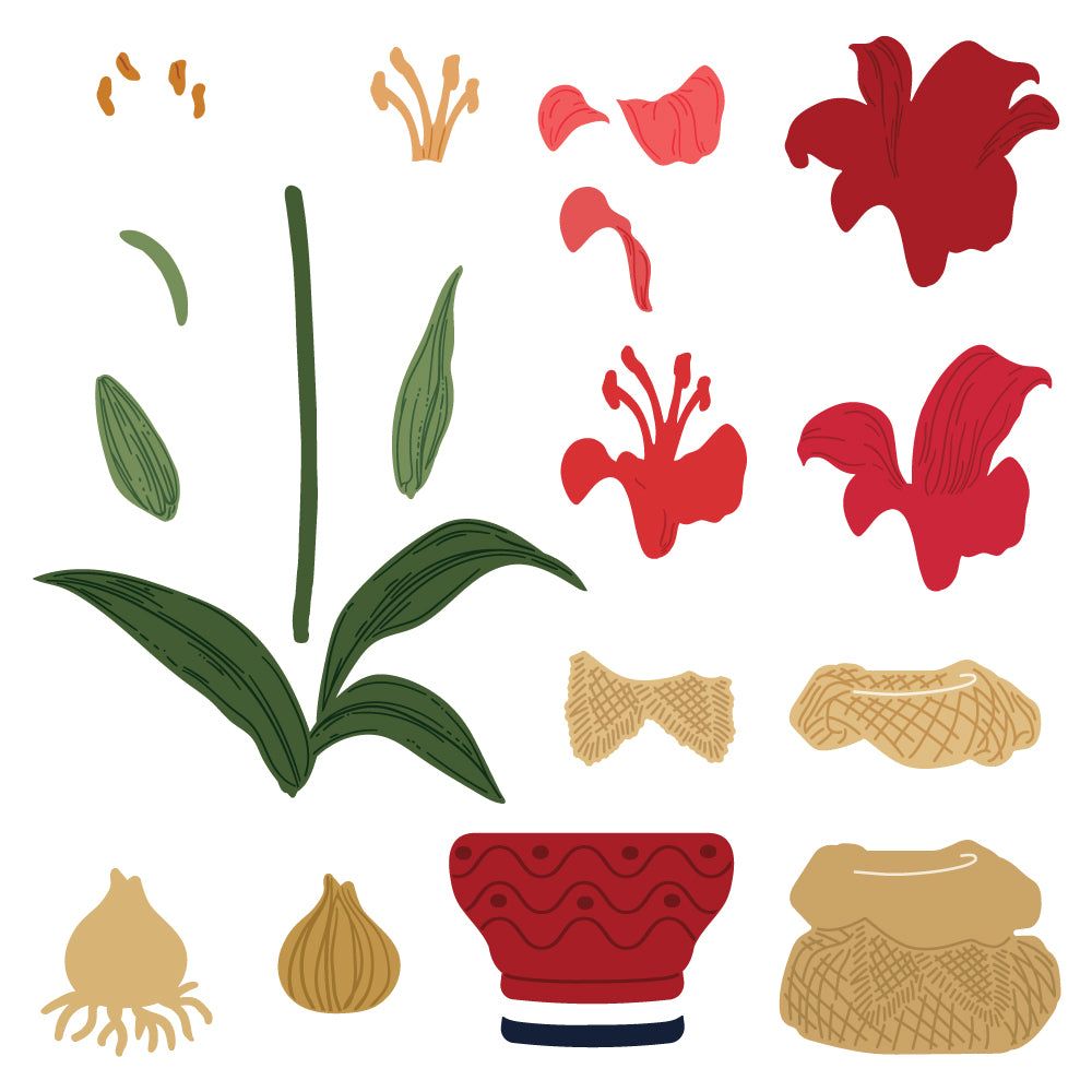 Lovely Layers: Amaryllis - Honey Cuts - Stand - Alone Dies - Honey Bee Stamps