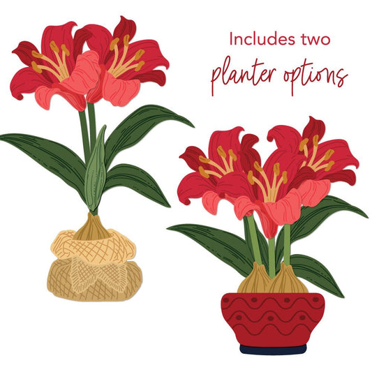 Lovely Layers: Amaryllis - Honey Cuts - Stand - Alone Dies - Honey Bee Stamps