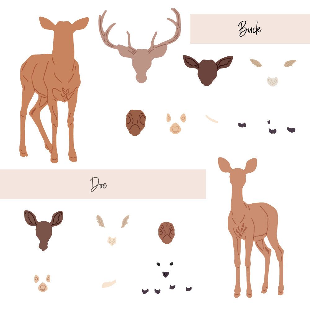 Lovely Layers: Deer - Honey Cuts - Honey Bee Stamps