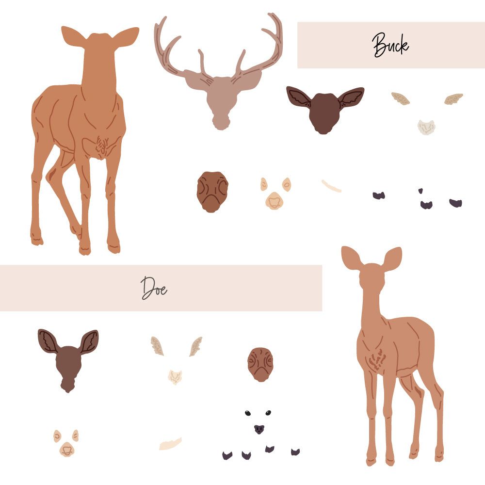 Lovely Layers: Deer - Honey Cuts - Stand - Alone Dies - Honey Bee Stamps