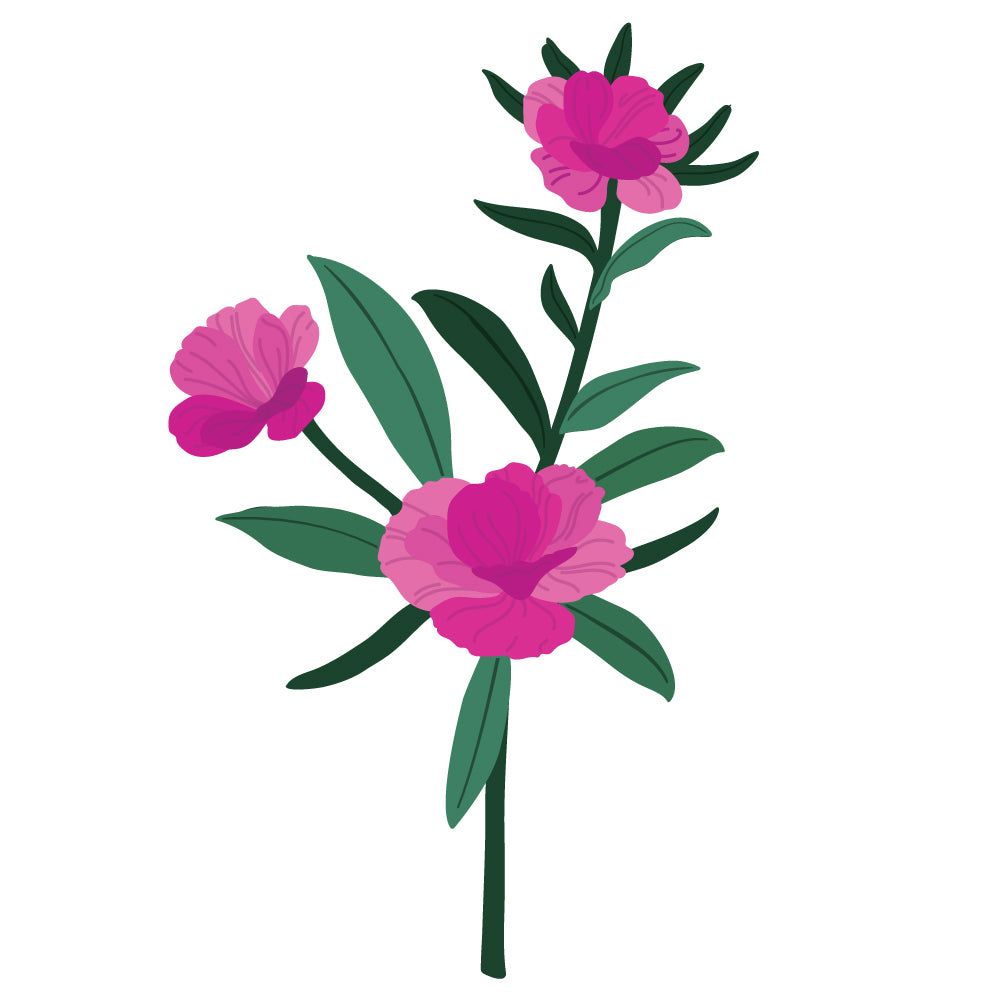 Lovely Layers: Dianthus - Honey Cuts - Stand - Alone Dies - Honey Bee Stamps