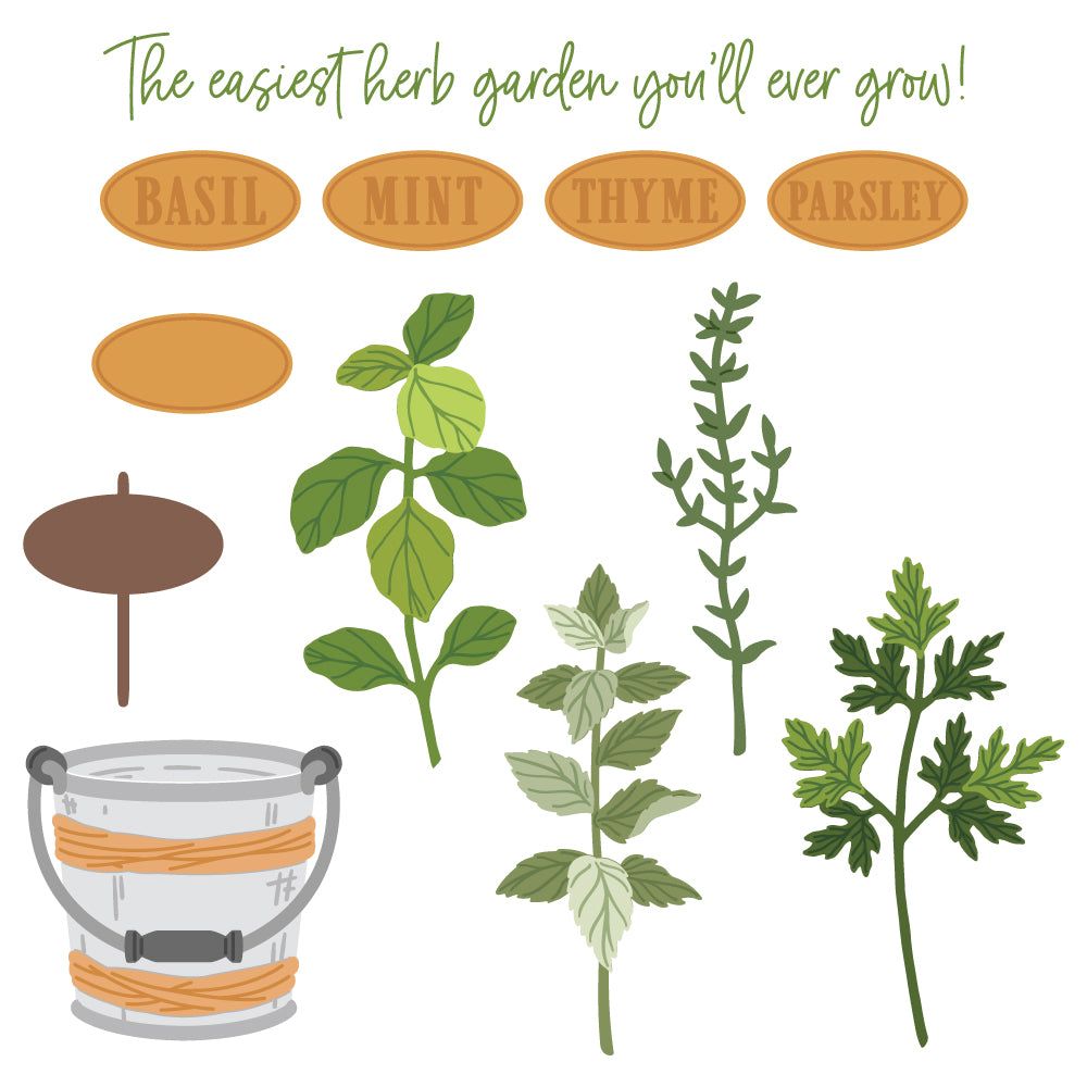 Lovely Layers: Herb Garden - Honey Cuts - Stand - Alone Dies - Honey Bee Stamps