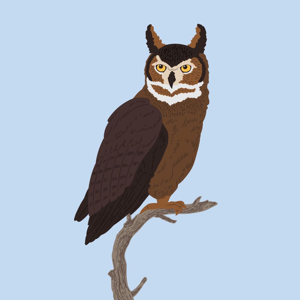 Lovely Layers: Owl - Honey Cuts - Stand - Alone Dies - Honey Bee Stamps