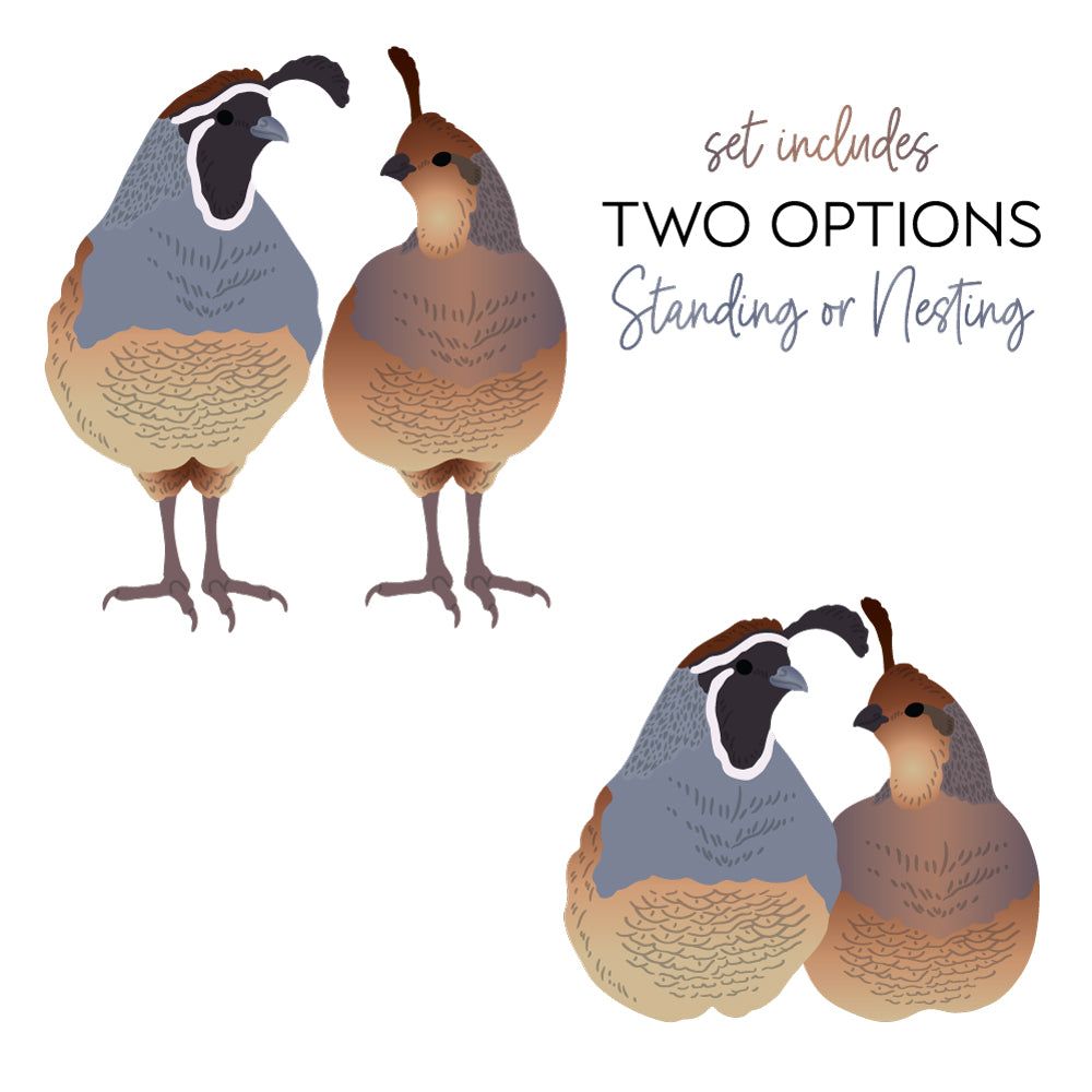 Lovely Layers: Quail - Honey Cuts - Stand - Alone Dies - Honey Bee Stamps