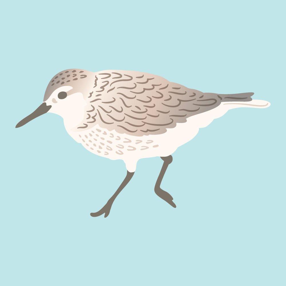 Lovely Layers: Sandpiper - Honey Cuts - Stand - Alone Dies - Honey Bee Stamps