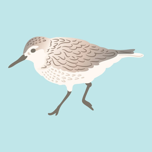 Lovely Layers: Sandpiper - Honey Cuts - Stand - Alone Dies - Honey Bee Stamps