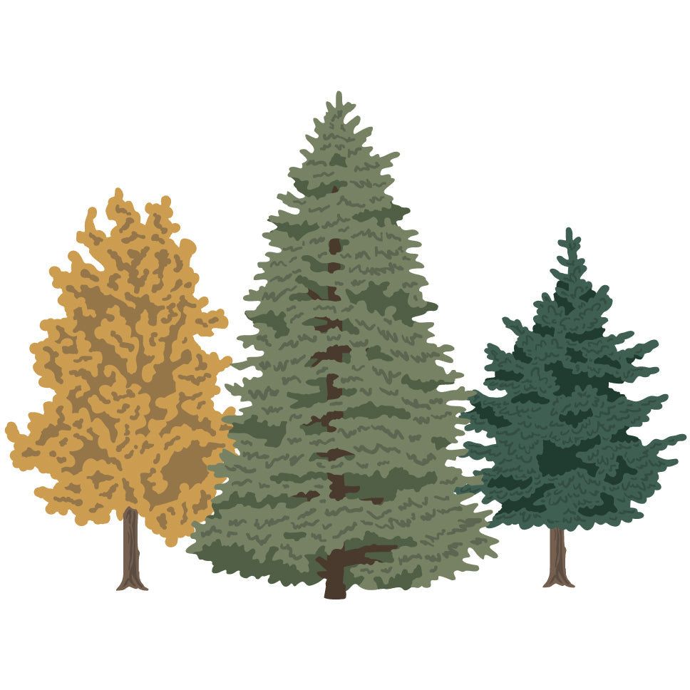 Lovely Layers: Trees - Honey Cuts - Stand - Alone Dies - Honey Bee Stamps